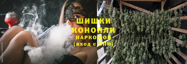 спайс Мегион