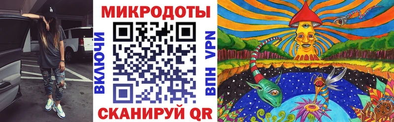 купить закладку  Тында  Псилоцибиновые грибы Psilocybine cubensis 