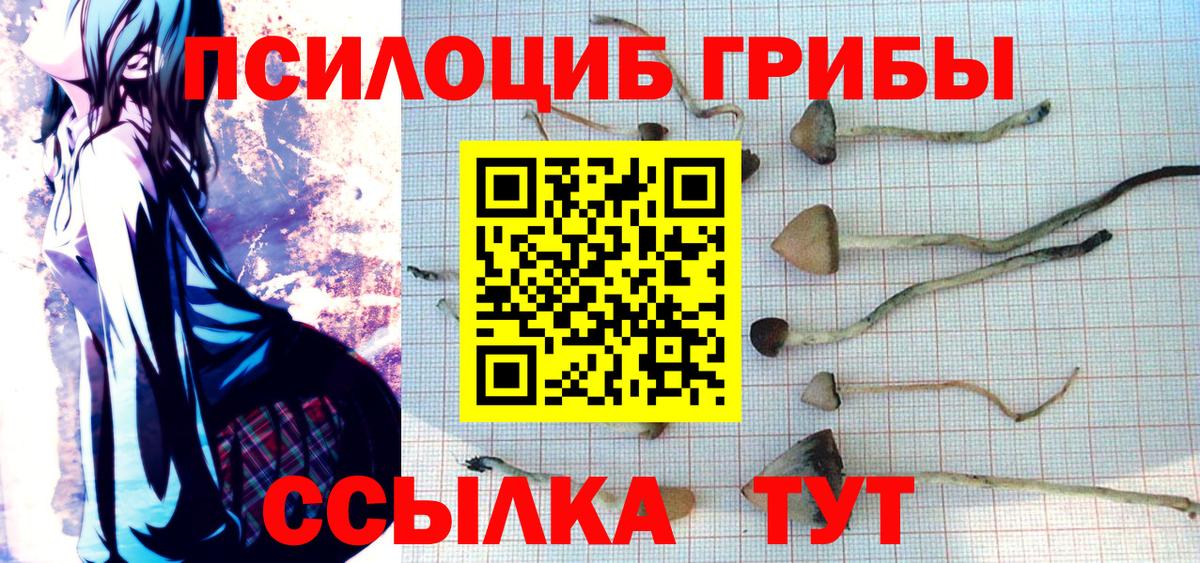 Галлюциногенные грибы Psilocybine cubensis Тында