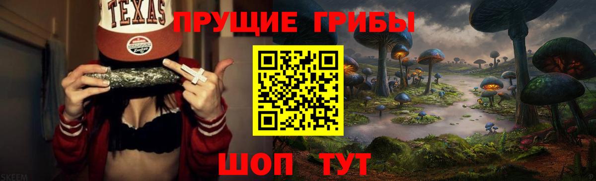 закладки  Псилоцибиновые грибы мухоморы  Вход с VPN  Тында 