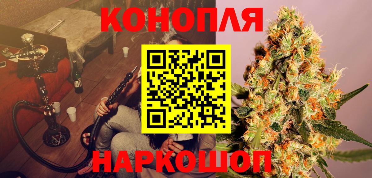 Шишки марихуана планчик Тында